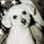 Stacy Burggraff Thompson's profile image