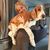 Eugenia Fundo Sudwarts's profile image
