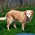 JoAnn Place's profile image