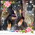 Diane R. Shepherd's profile image