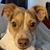 Jennifer Weldon's profile image