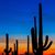 Jody Scott's profile image