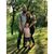 Lacey Clemmer's profile image