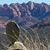 Julie Anderson Galan's profile image