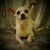 Rebecca Folse's profile image