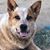 Janice Putney's profile image