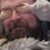 Greg King's profile image