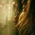 Julia Baucom-Simington's profile image