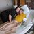 Tara Andrews Ashlock's profile image