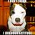 Melissa Sheppard's profile image