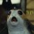 Lindsey Rucker's profile image