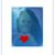 Laurie Magnes-gorman's profile image