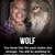 Chanel Wallace's profile image