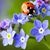 Susan Hess Barron Agoglia's profile image