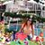 Marione Moraes's profile image