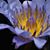 Gail Morse's profile image