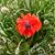 Deborah Miller's profile image