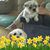 Frances Phillips's profile image