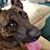 Allison Marcks's profile image
