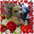 Sabrina Guerrero's profile image