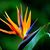 Karen Norfleet Giles's profile image