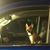 Tiffany Blaner's profile image