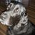 Kathy Roberson's profile image