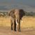 Don Johnston's profile image