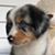 Karen Raymond's profile image