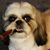 Lynn Goldacker Romo's profile image