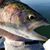 Tim Rozewski's profile image