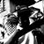 Motmot Luengas Loren's profile image