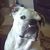 Mary Jane Willuhn's profile image