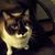 William Cloninger's profile image