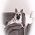 Tish Mears Albert's profile image