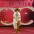 Tricia Nicholson's profile image