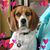 Karen Darby's profile image