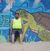 Anthony Hestand's profile image