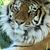 Susy Ramirez's profile image