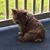 Brenda Linnan's profile image