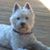 Barbara J Barbieri's profile image