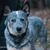 Linda Bell's profile image
