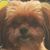 KyleAnn Rudolph's profile image