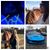 Cari Martin's profile image