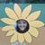 Donna Edwards's profile image