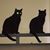 Shelly Cadenhead's profile image