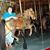 Janice Woycheshin's profile image