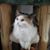Christine Marion's profile image