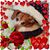 Harriette Pettis's profile image