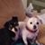 Rosalie Solis-Augusto's profile image